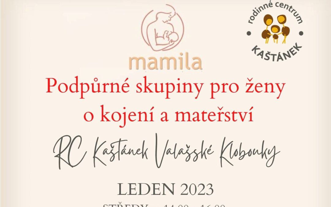 Podpůrné skupiny pro ženy